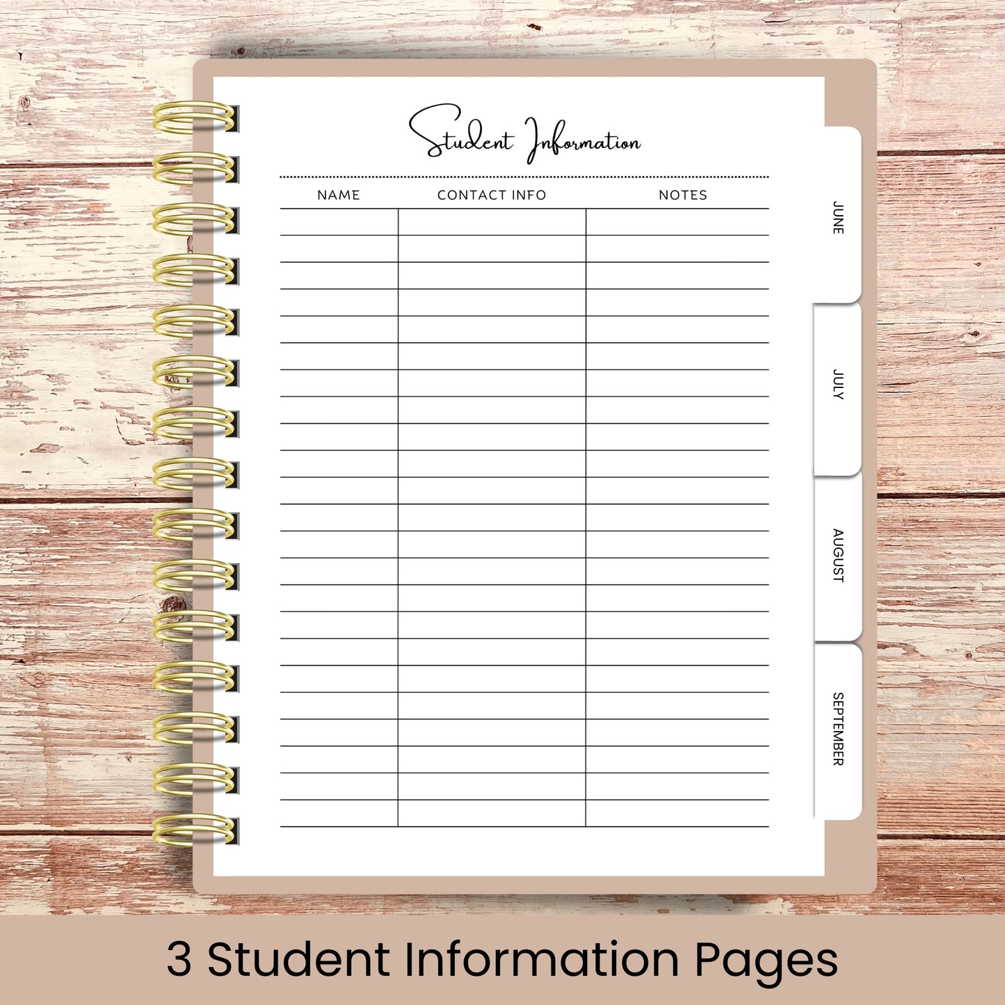 Ultimate Teacher Lesson Planner | Rainbow Pencil