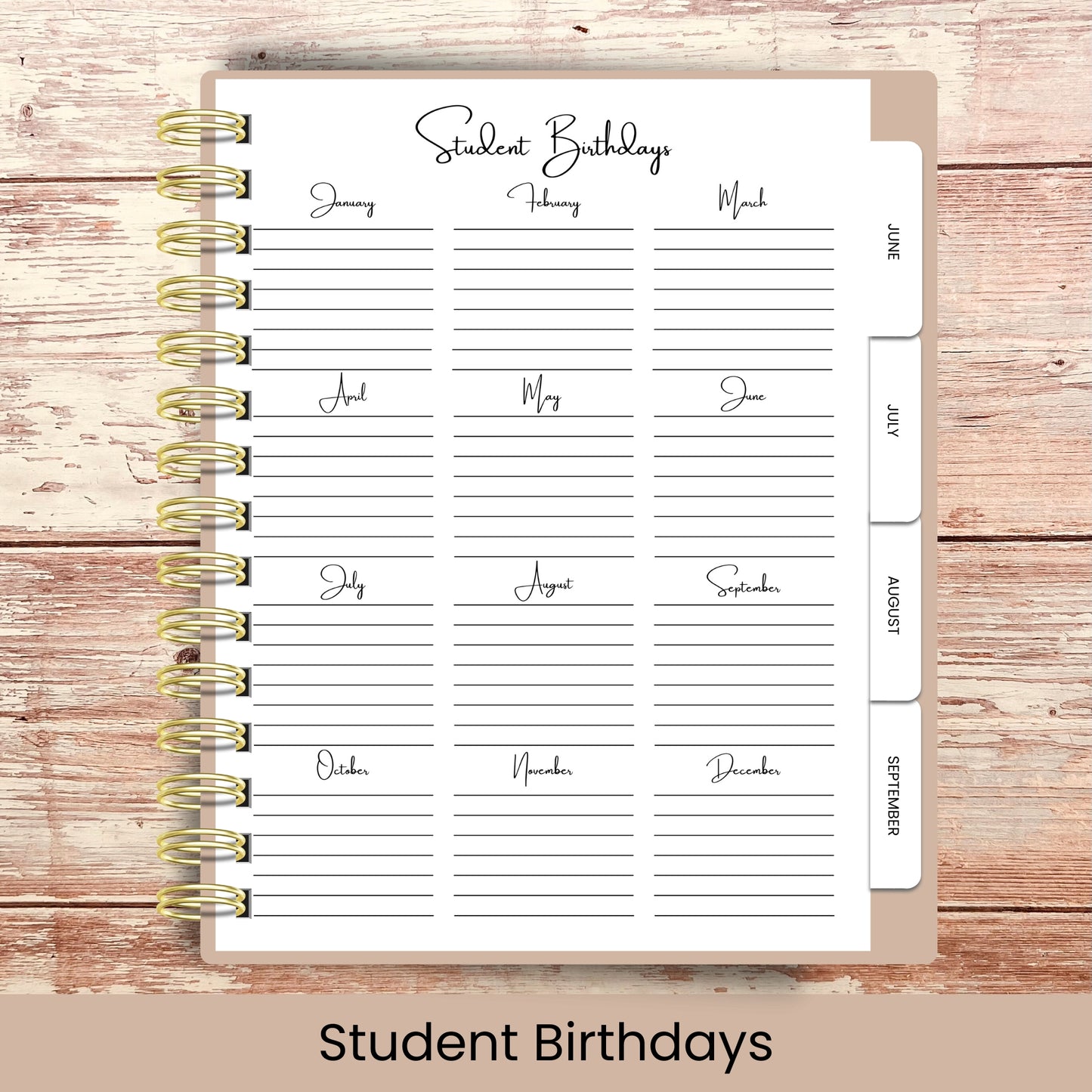 Ultimate Teacher Lesson Planner | Boho