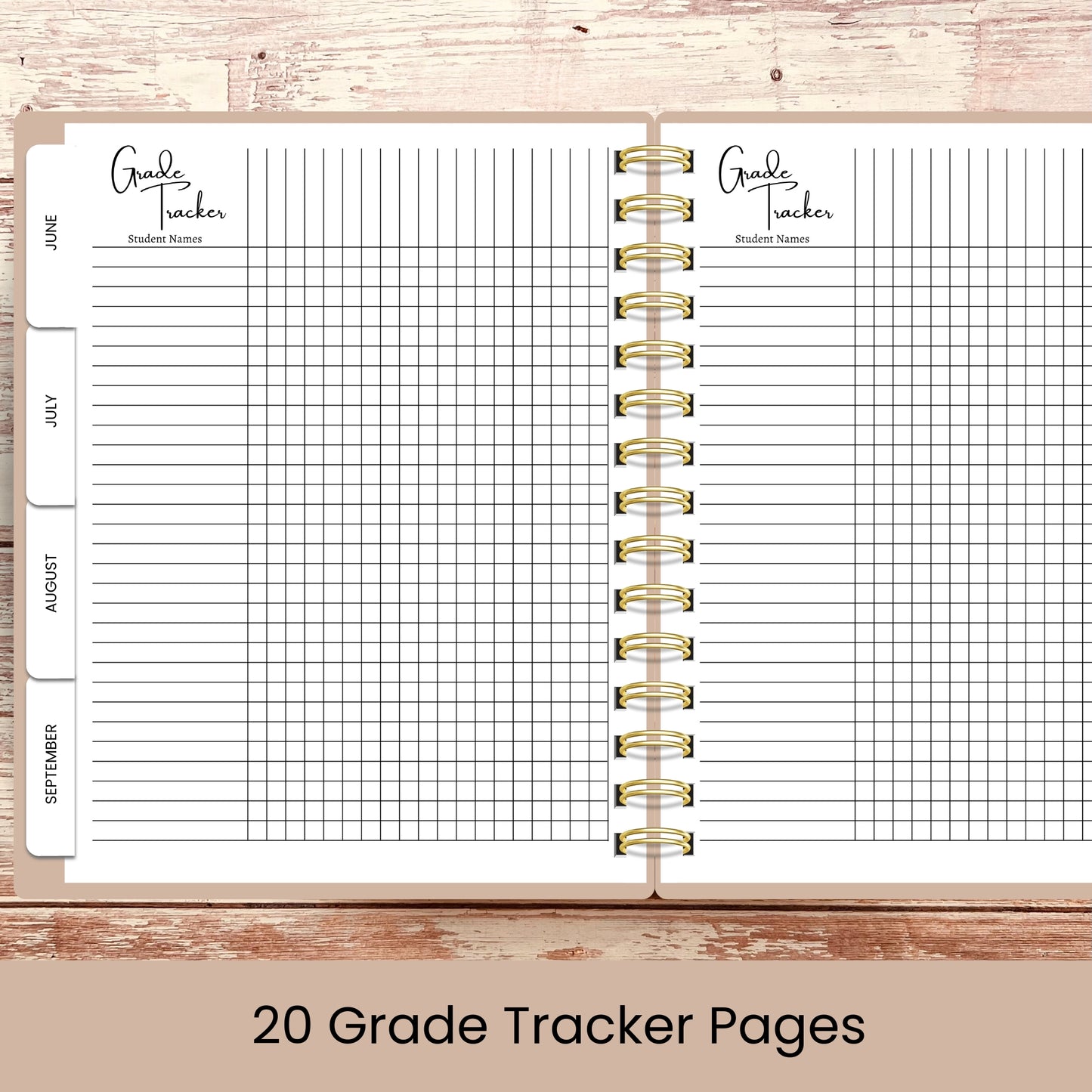 Ultimate Teacher Lesson Planner | Books & Pears