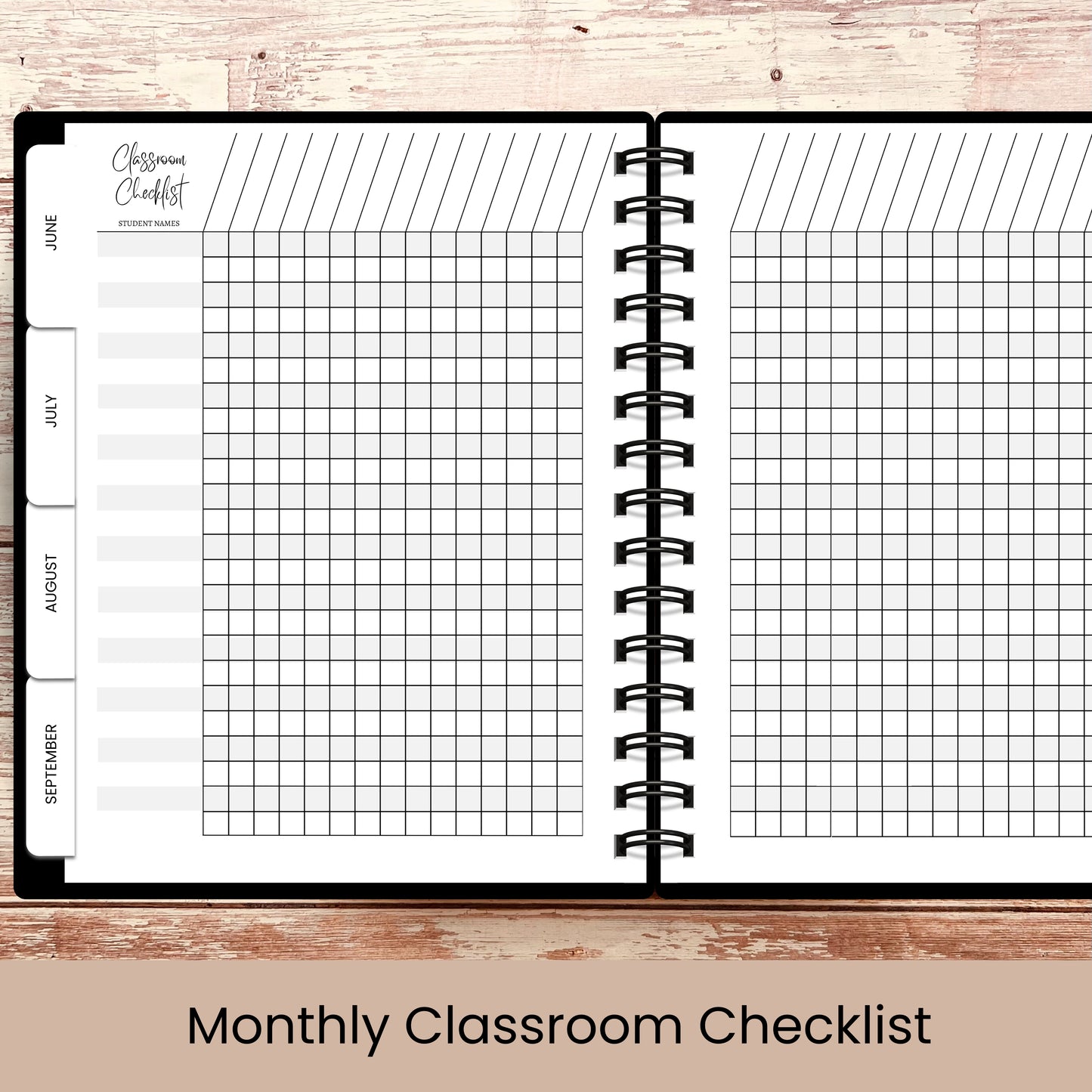 Ultimate Teacher Lesson Planner | Teacher