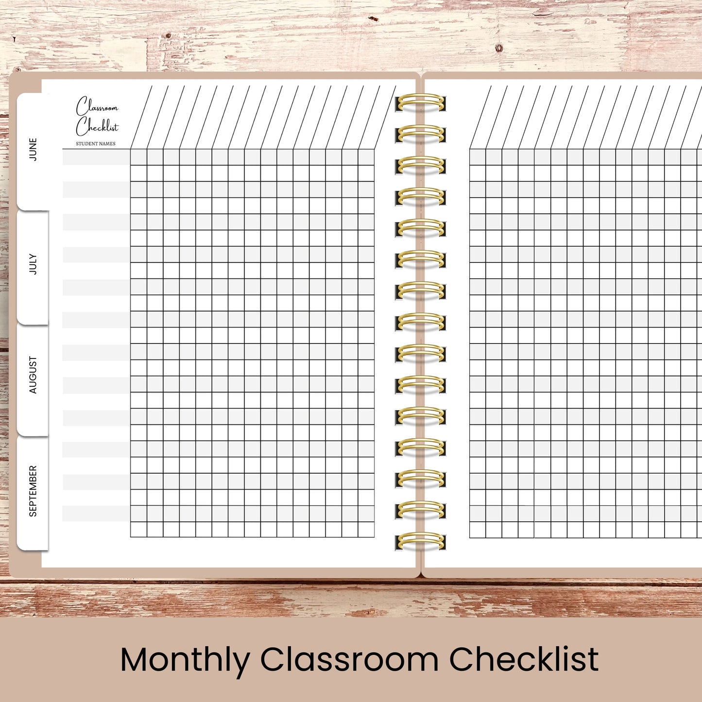 Ultimate Teacher Lesson Planner | Rainbow Pencil